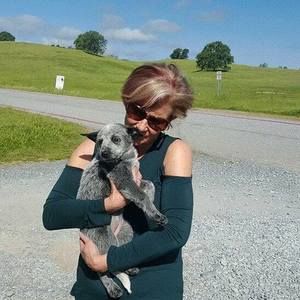 Meet your Posher, Mary